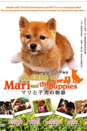 Câu chuyện về Mari và 3 chú cún nhỏ