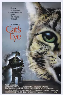 Mắt Mèo